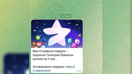 Мошенники начали разводить владимирцев под видом подарка Telegram Premium