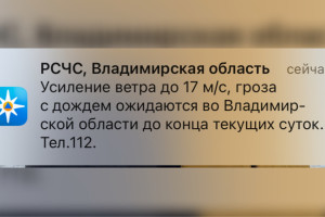 МЧС предупредило жителей Владимирской области о грозе и ветре до 17 м/с