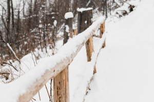 Причиной циклонов Ваня и Ольга во Владимирской области стало глобальное потепление