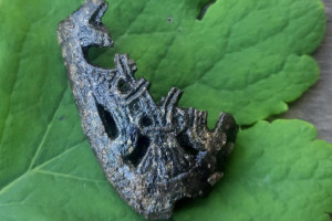 В Окском парке в Муроме нашли наконечник ножен меча 10-го века