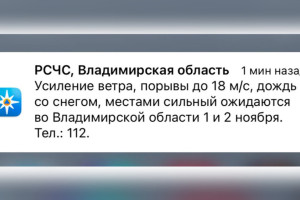 МЧС предупредило жителей Владимирской области о мощном урагане и мокром снеге
