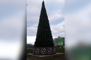 Во Владимире появилась первая новогодняя елка