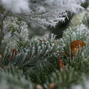 Прогноз погоды во Владимире и области на 2 марта