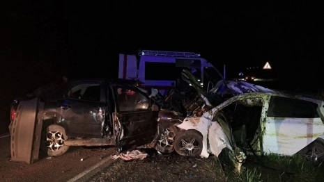 В Судогодском районе 4 человека погибли в ДТП с лосем