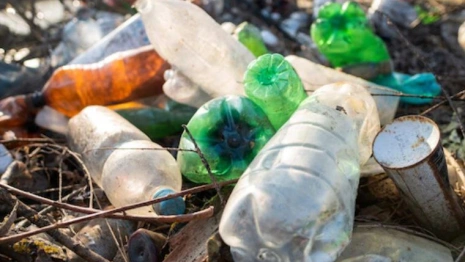 
Рекультивация свалки в Суздале обернулась для подрядчика штрафом в 90 тысяч