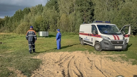 Во Владимирской области спасатели вывели из леса заблудившуюся 72-летнюю бабушку