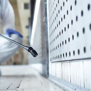 Борьба с тараканами во владимирском ресторане могла обернуться массовым отравлением