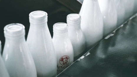 Во Владимирской области четырех жителей наградят медалями за трудовые успехи