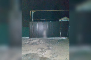 В Муроме мужчина повесил собаку на заборе