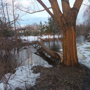 Во Владимирской области объявили красный уровень опасности из-за половодья