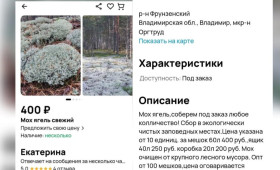 Из заказника во Владимирской области вывезли мох на 1 млн рублей