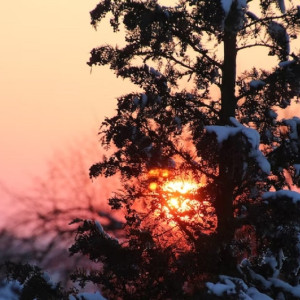 Во Владимирской области в выходные установится слабый мороз