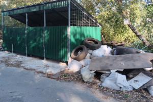 Во Владимире частный сектор утонул в мусоре
