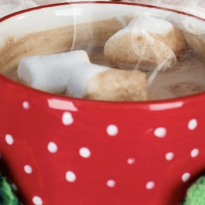 Ледяной апокалипсис во Владимирской области. Как согреться и избежать обморожения в -34