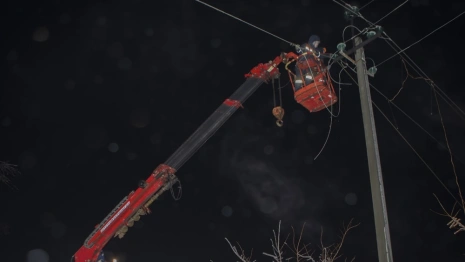 Во Владимирской области энергетики срубили 2,6 тыс. деревьев