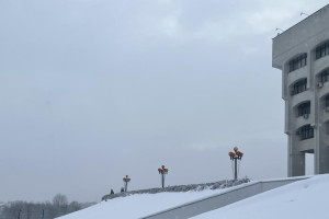 Рабочая неделя во Владимирской области закончится «плюсовой» температурой