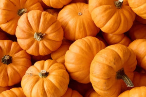 Врачи рассказали, какие сезонные продукты помогут укрепить иммунитет