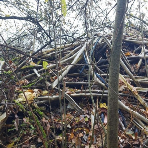 В лесу Юрьев-Польского района нашли огромную стихийную свалку