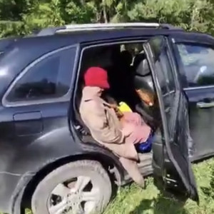 Во Владимирской области бабушка провела в лесу целую ночь