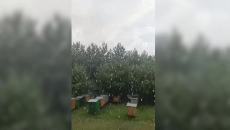 В поселке под Владимиром прошел ливень с грозой