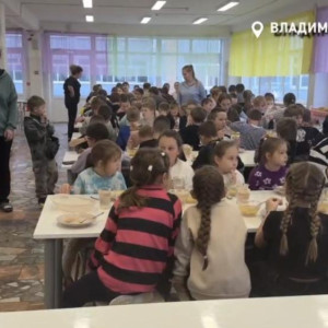 В школьных столовых Владимирской области дети не доедают 50% от порций