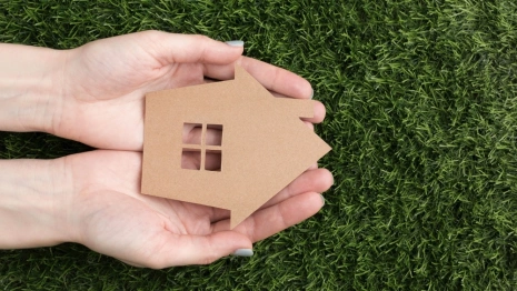 В Кольчугино чиновники незаконно подарили москвичке 2,1 тыс. квадратов земли