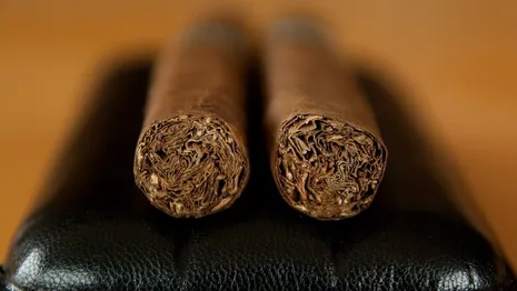 Эксперт объяснил, зачем во Владимирскую область завезли табачные листы из Замбии и Индии