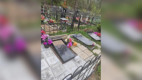 Во Владимирской области вандалы разгромили 50 могил