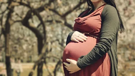 Жительница Вязников подделала справку о беременности ради смягчения приговора