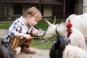 Народные приметы на 27 января 2024 года: что можно и нельзя делать в Нинин день