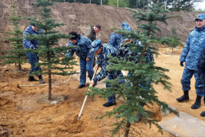 Во Владимирской области заложили Аллею Памяти в честь защитников Родины