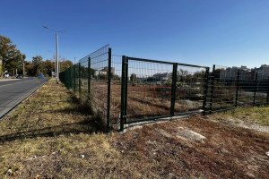 Владимирский депутат пожаловался на пьющих и мусорящих посетителей дог-парка