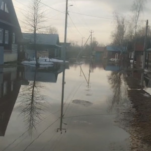 Жители Вязников забили тревогу из-за выходящей из берегов речки Волшник