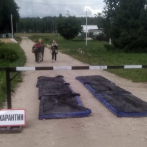 В Коврове на въездах в очаги чумы свиней поставили шлагбаумы