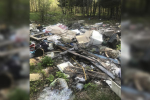 В лесу Судогодского района нашли незаконную свалку