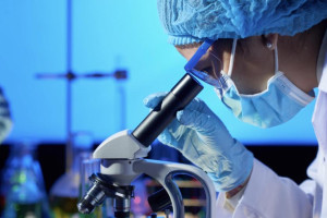 Во Владимирской области дефицит медиков составил 1217 человек