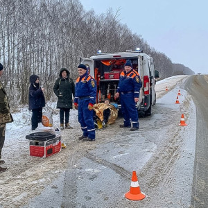 Во Владимирской области в ДТП пострадал 73-летний мужчина