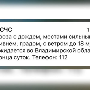 МЧС разослало экстренное предупреждение о ливне и граде во Владимирской области