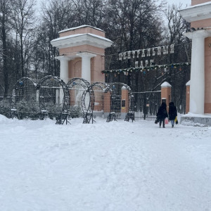 На владимирском елочном базаре начали продавать редкие голубые деревья