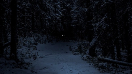 Во Владимирской области пропавшую 70-летнюю пенсионерку обнаружили мертвой