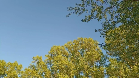 Прогноз погоды во Владимирской области на 13 мая