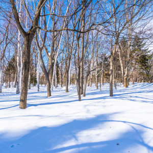 Прогноз погоды во Владимире и области на 5 декабря