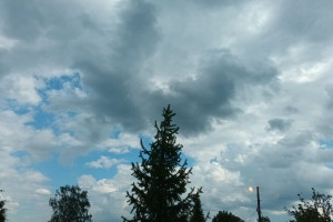 Во Владимирской области пообещали дождь с грозой вечером 1 июня