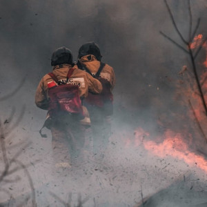 Во Владимирской области за сутки произошли 3 лесных пожара на площади в 10,8 га