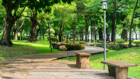Появился список из 34 парков и скверов для благоустройства во Владимирской области