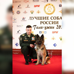 Кинолог и вице-президент муромского мотоклуба погиб в зоне СВО