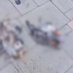 В Юрьев-Польском зафиксировали массовую гибель голубей