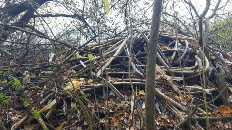 В лесу Юрьев-Польского района нашли огромную стихийную свалку