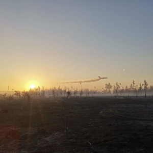 Пожар из-за детонации снарядов под Киржачом помогла тушить военная авиация