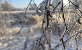 Прогноз погоды во Владимирской области на 17 января 2025 года